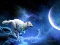 狼と月のファンタジー